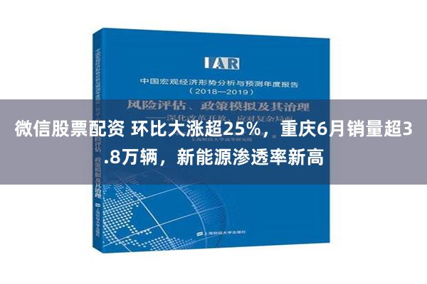   微信股票配资 环比大涨超25%，重庆6月销量超3.8万辆，新能源渗透率新高