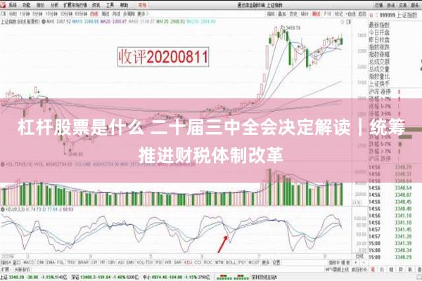 杠杆股票是什么 二十届三中全会决定解读｜统筹推进财税体制改革