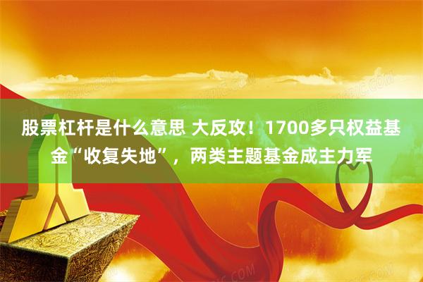 股票杠杆是什么意思 大反攻！1700多只权益基金“收复失地”