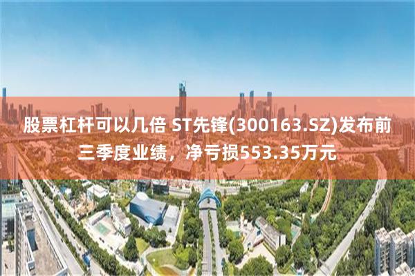 股票杠杆可以几倍 ST先锋(300163.SZ)发布前三季度业绩，净亏损553.35万元