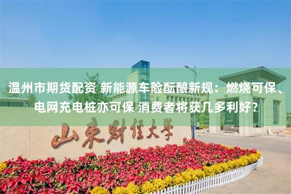 温州市期货配资 新能源车险酝酿新规：燃烧可保、电网充电桩亦可保 消费者将获几多利好？