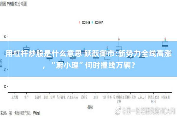 用杠杆炒股是什么意思 跃跃御市:新势力全线高涨，“蔚小理”何